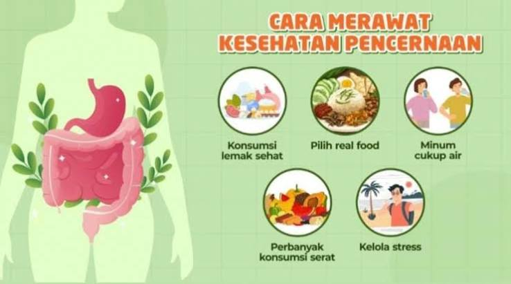 Cara Menjaga Kesehatan Pencernaan melalui Kebiasaan Sehari-hari